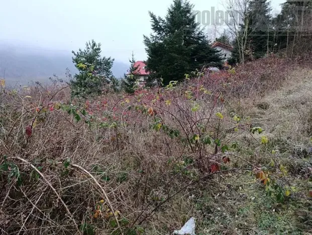 Prodej pozemku pro bydlení, Hradištko, Květná, 1357 m2