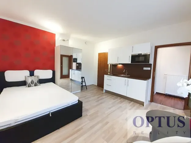 Pronájem bytu 1+kk, Praha - Braník, Za mlýnem, 24 m2