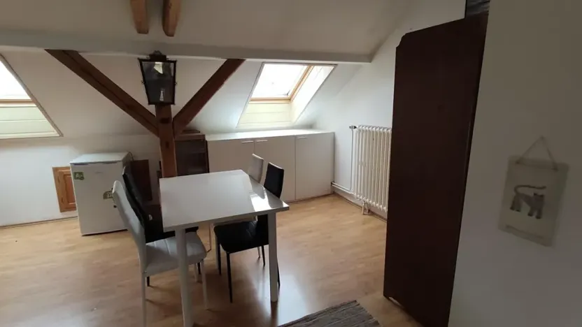 Pronájem bytu 1+kk, Praha - Krč, Moysesova, 40 m2