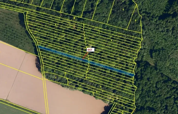 Dražba lesa, Hradčany-Kobeřice, 1989 m2