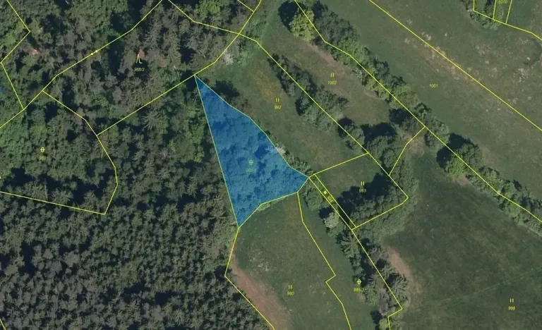 Dražba pozemku, Zálezly, 1482 m2