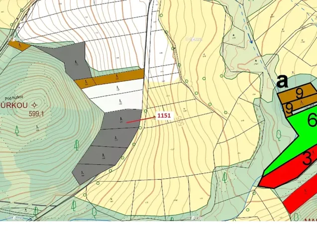 Dražba lesa, Zavlekov, 1331 m2
