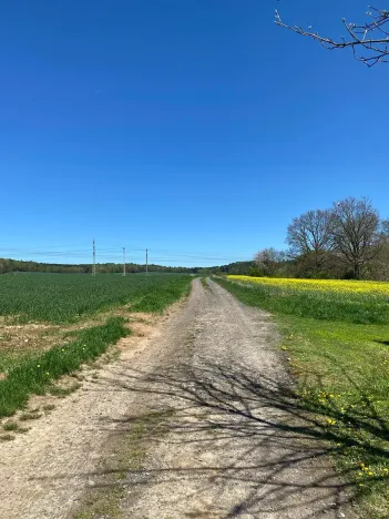 Prodej pozemku pro bydlení, Hamr na Jezeře, 1247 m2
