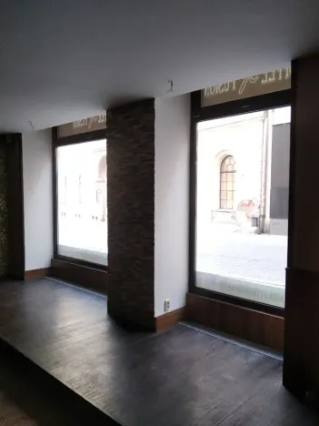 Pronájem obchodního prostoru, Brno, Jánská, 77 m2