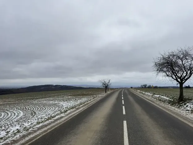 Dražba pole, Vyškov, 89174 m2
