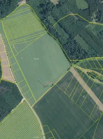 Dražba pole, Vyškov, 89174 m2