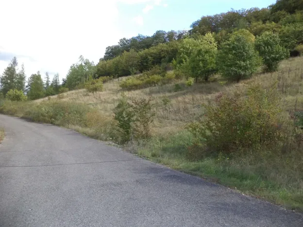 Prodej pole, Řehlovice - Stadice, 3418 m2