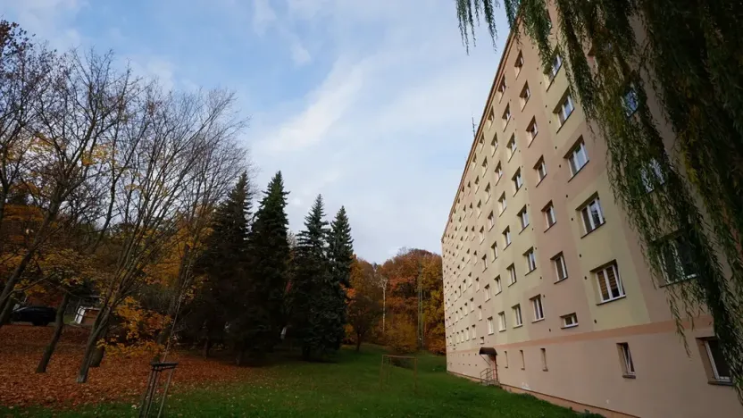 Prodej bytu 2+1, Chomutov, Václavská, 51 m2