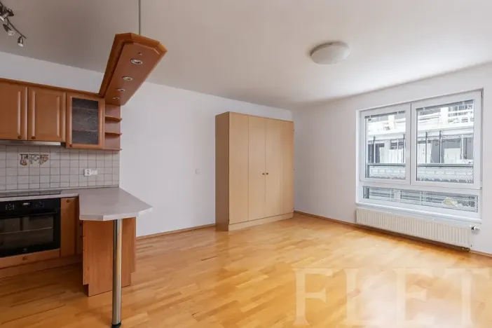 Pronájem bytu 1+kk, Praha - Michle, Jemnická, 39 m2