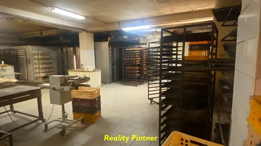 Pronájem výrobních prostor, Příbram, Plzeňská, 350 m2