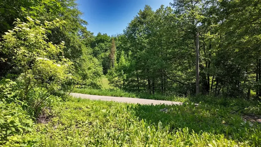 Prodej pozemku pro bydlení, Rokytnice v Orlických horách, 271 m2