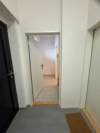 Prodej bytu 2+1, Brno, Netušilova, 46 m2