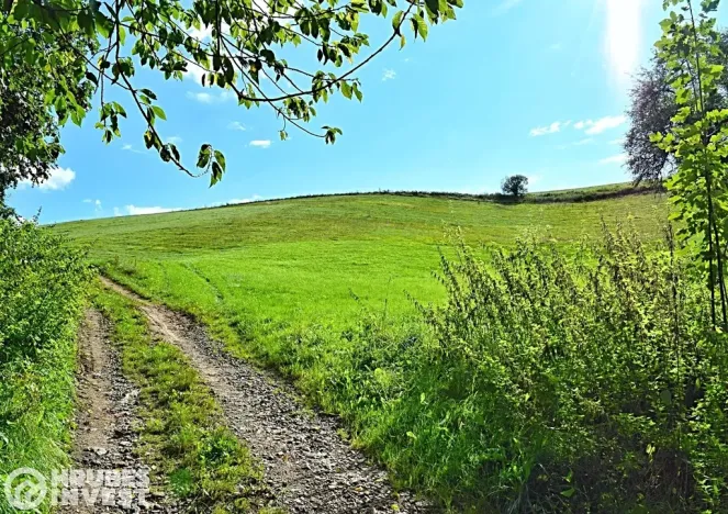 Prodej pozemku pro bydlení, Hnátnice, 2169 m2