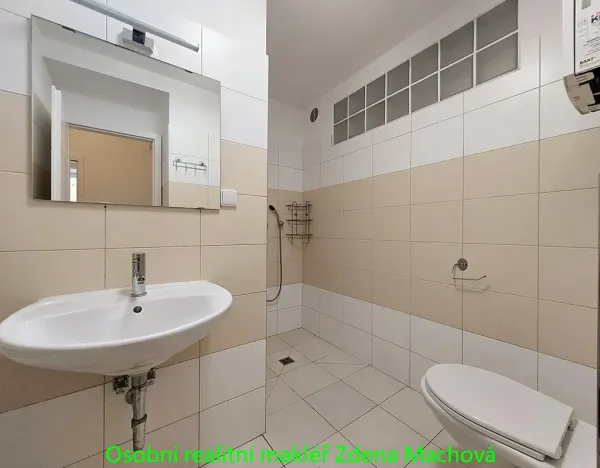 Prodej bytu 2+kk, Praha - Žižkov, Domažlická, 52 m2