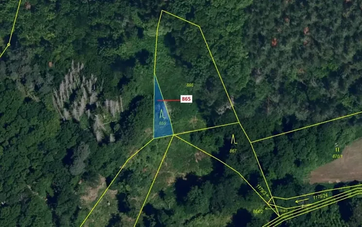 Dražba lesa, Dešov, 111 m2