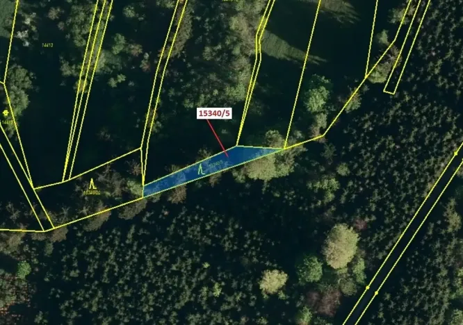 Dražba lesa, Hovězí, 312 m2