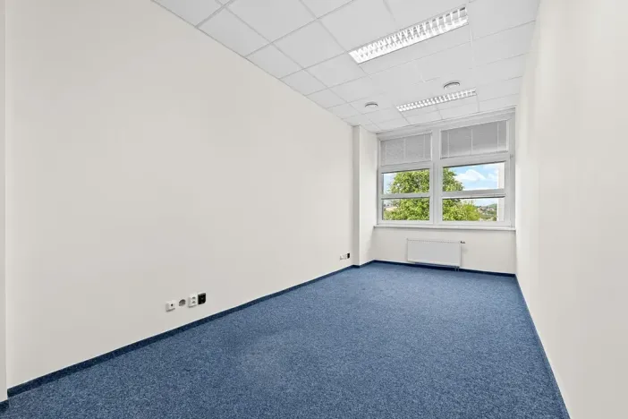 Pronájem kanceláře, Praha - Podolí, Pod Pekařkou, 12 m2