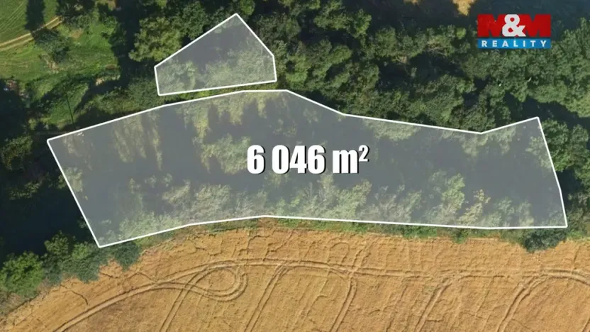 Prodej louky, Bílá - Hradčany, 6046 m2