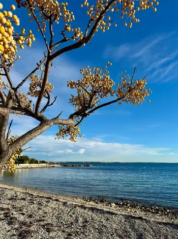 Prodej vily, Vir, Chorvatsko, 129 m2