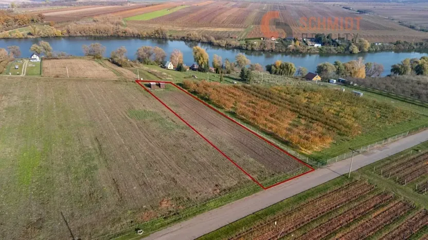 Prodej sadu/vinice, Velké Bílovice, U Rybníka, 2791 m2