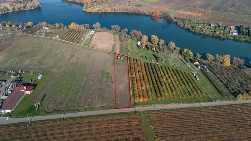 Prodej sadu/vinice, Velké Bílovice, U Rybníka, 2791 m2