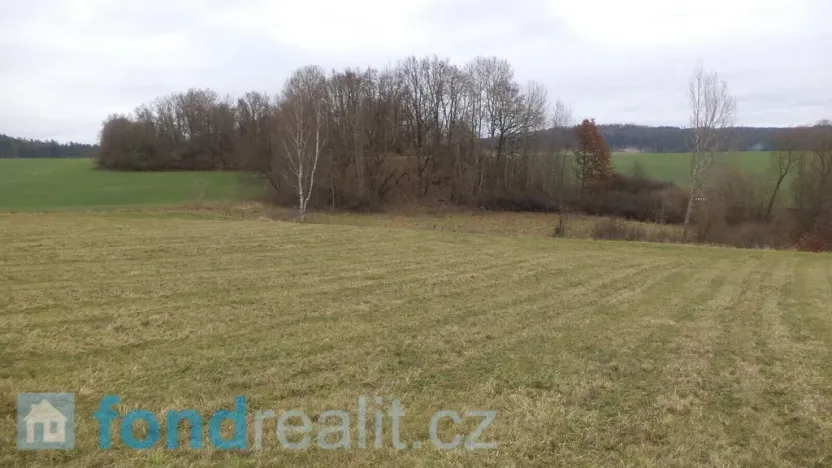 Prodej pole, Srby, 24690 m2