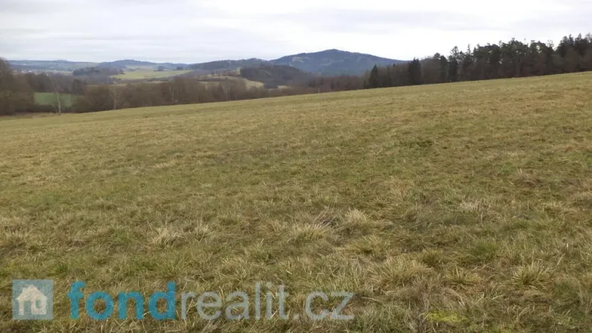 Prodej pole, Srby, 24690 m2