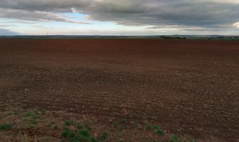 Prodej podílu pole, Červené Pečky, 5013 m2