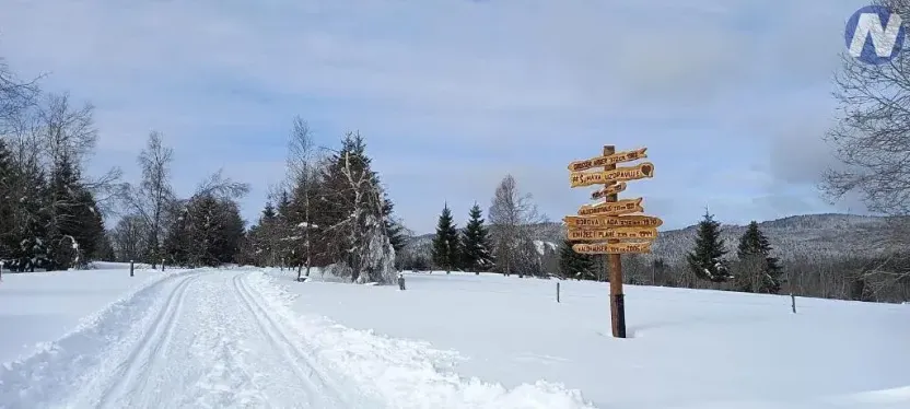 Prodej pozemku pro bydlení, Strážný, 2500 m2