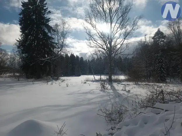 Prodej pozemku pro bydlení, Strážný, 5195 m2