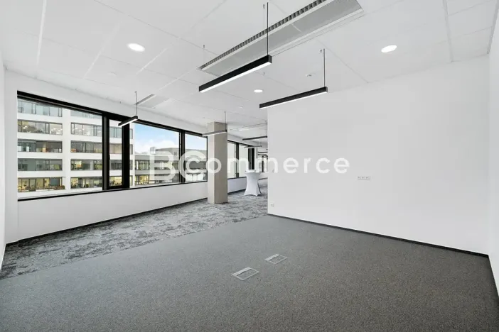 Pronájem kanceláře, Brno, 235 m2