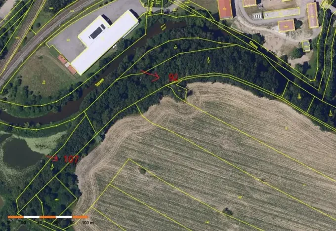 Prodej lesa, Havlíčkův Brod, 11144 m2