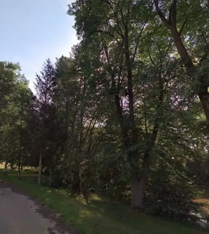 Prodej lesa, Lhotice, 1838 m2