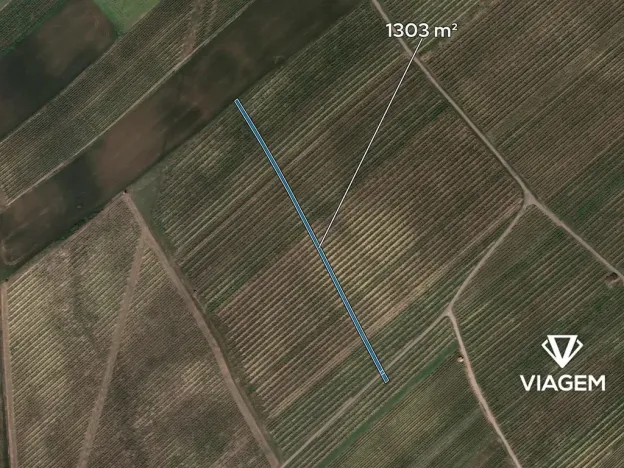 Prodej pole, Prušánky, 1303 m2