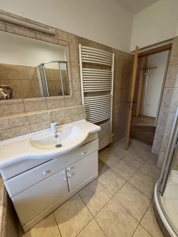 Pronájem rodinného domu, Ostrava, Křížkovského, 300 m2