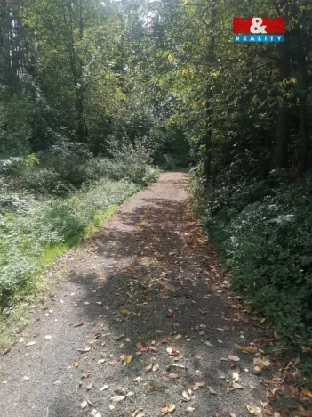 Prodej pozemku pro bydlení, Drevníky, 787 m2