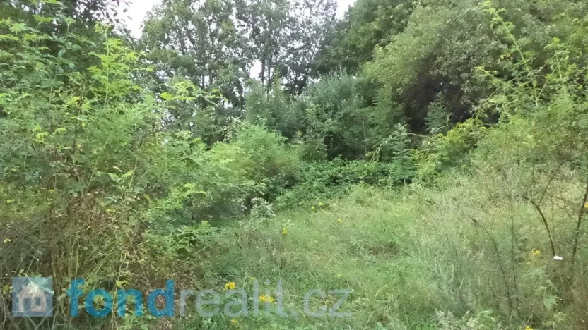 Prodej pozemku, Dolní Dobrouč, 34731 m2