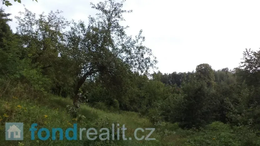 Prodej pozemku, Dolní Dobrouč, 34731 m2