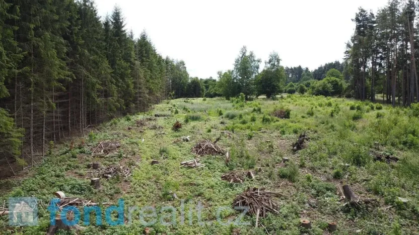 Prodej pozemku, Kunžak, 10789 m2