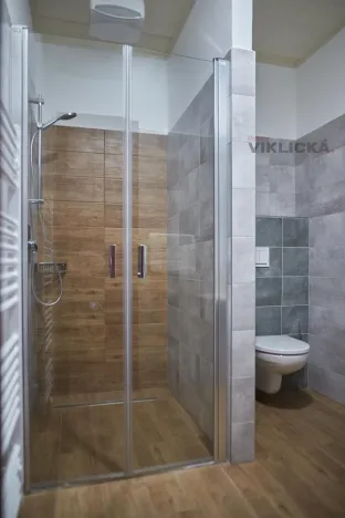 Pronájem ubytování, Slavonice, Nádražní, 220 m2