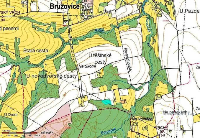 Prodej lesa, Bruzovice, 6273 m2