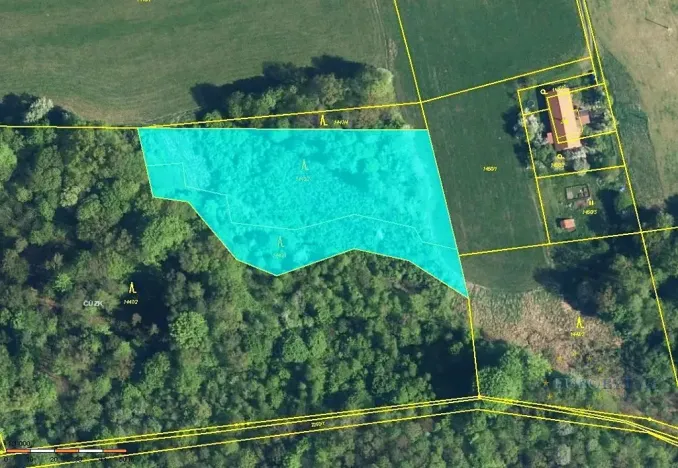 Prodej lesa, Bruzovice, 6273 m2