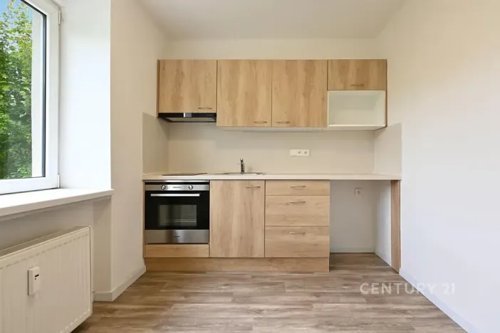 Pronájem bytu 1+1, Most, Antonína Dvořáka, 29 m2