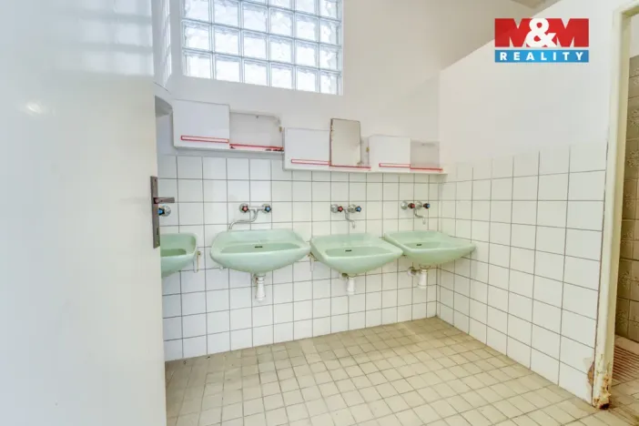 Prodej rodinného domu, Břasy - Vranovice, 158 m2