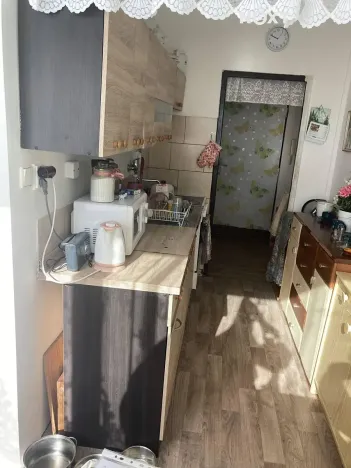 Prodej bytu 2+1, Veselí nad Lužnicí, K Zastávce, 56 m2