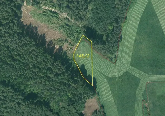 Prodej pole, Bělá nad Radbuzou - Čečín, 1954 m2