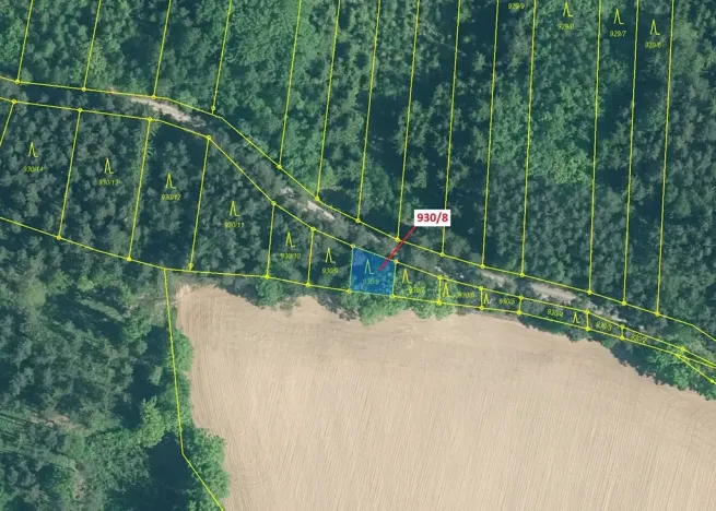 Dražba lesa, Hosty, 140 m2