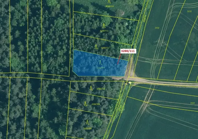 Dražba lesa, Hosty, 978 m2