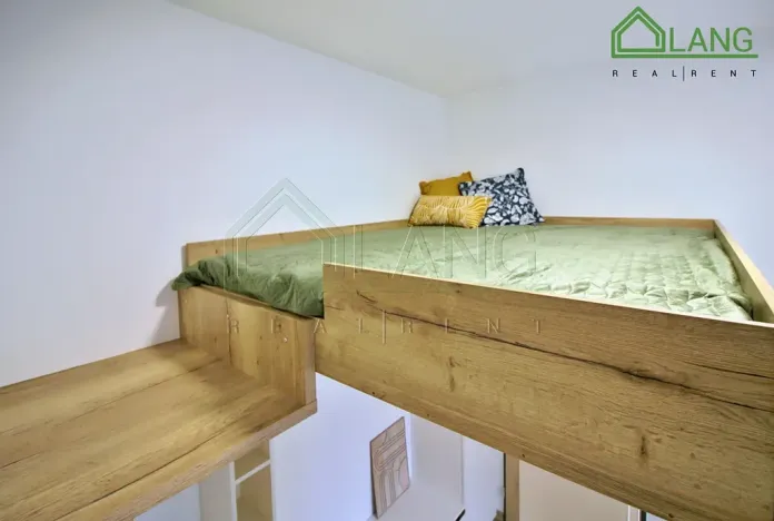 Pronájem bytu 1+1, Brno, Koliště, 24 m2