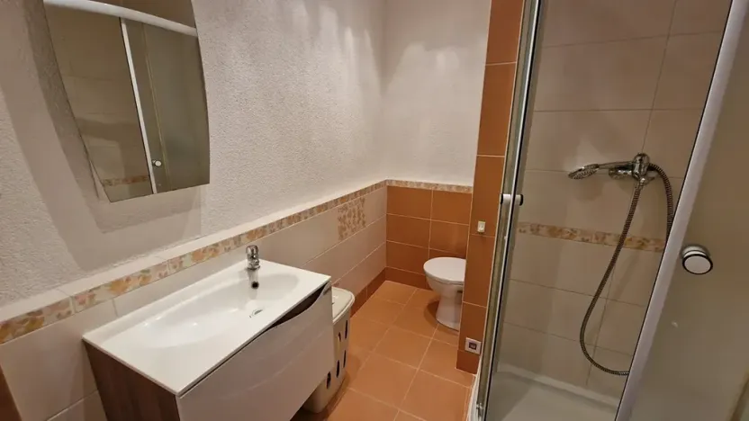 Pronájem bytu 1+kk, Plzeň, Jesenická, 32 m2